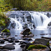 Sweet Creek Falls, OR