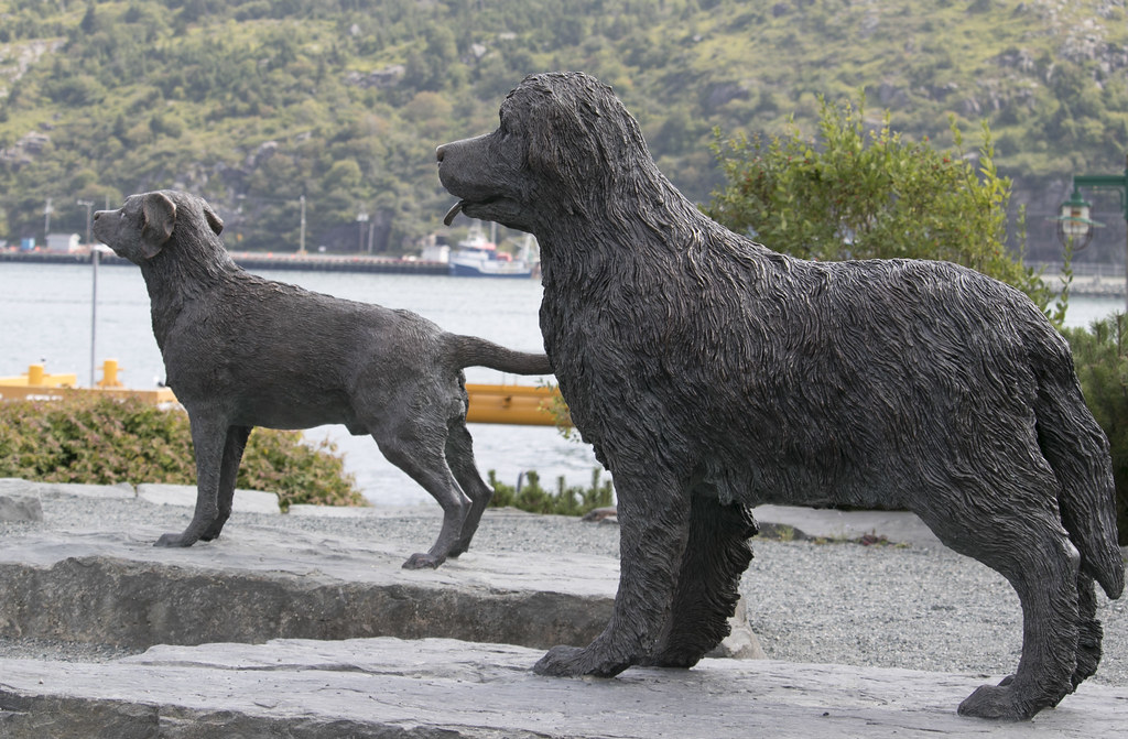 Newfoundland And Labrador Dogs These Sculptures Were In Th Flickr