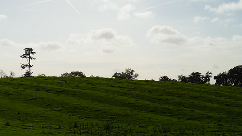Ridge and furrow, Welcombe Hills Country Park
