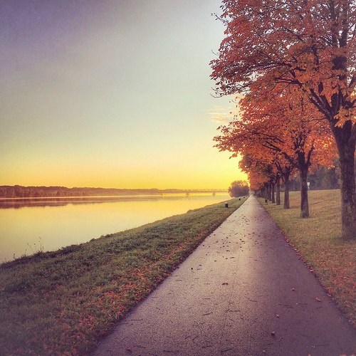 sunrise austria danube donau landscape morninglight morning light autumn lines graphic mood moment trees tree outdoor colors color colorful nature landschaft beautiful running earlybird early europe fresh