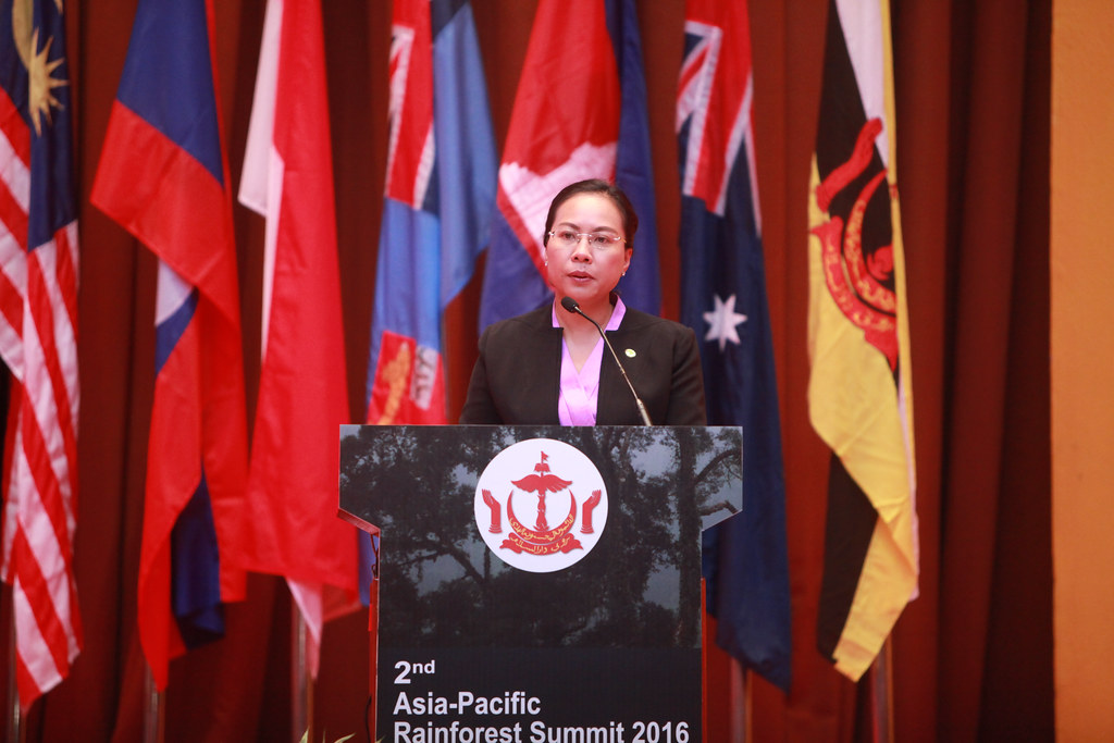 Lao PDR's Vice Minister of Natural Resources and Environment, HE Bounkham Vorachit gave her nations' perspectives on the challenge of...