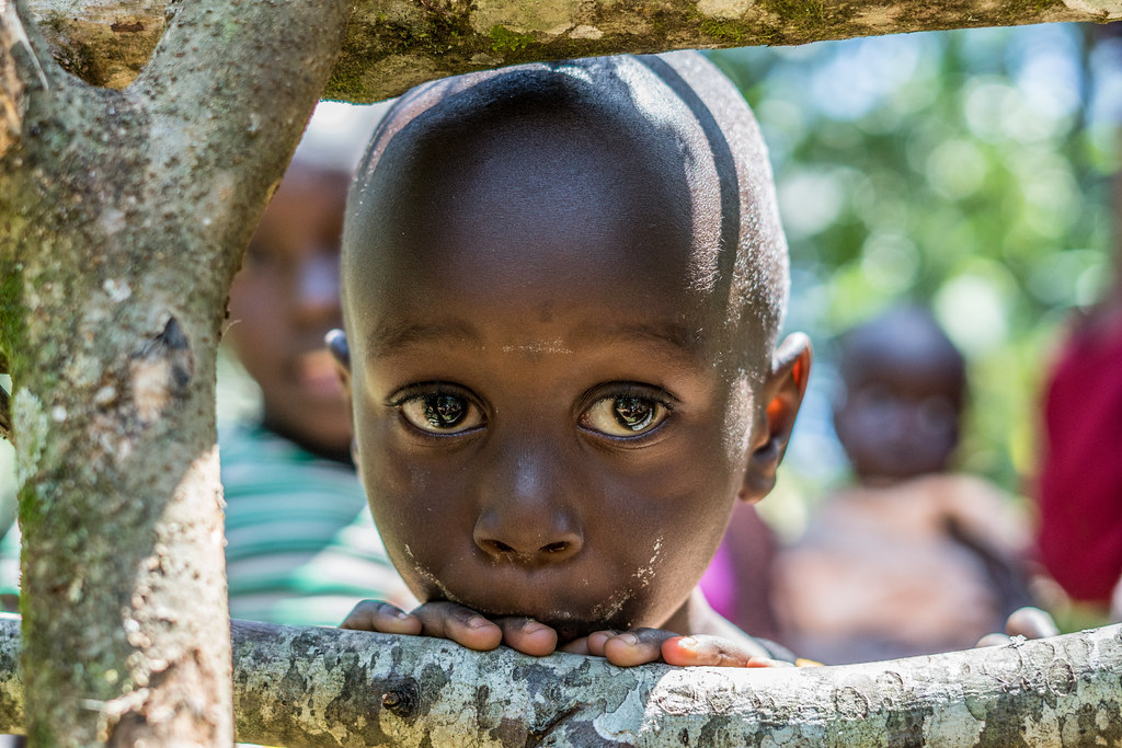 A child from the Mau Forest community looking through the nursery fence.