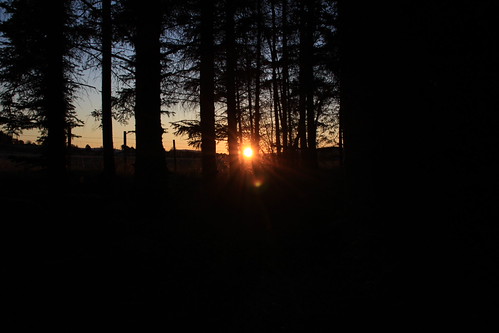 sunrise by fosen1, 