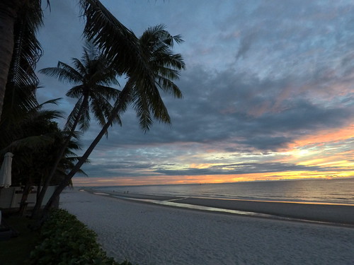 palm coconut shadow shade morning breakfast sunrise rise huahin thailand th 66