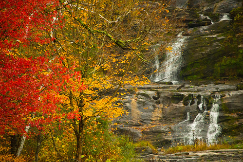 connecticutt connecticut fall autumn waterfall color leaves kentfalls statepark tree trees water