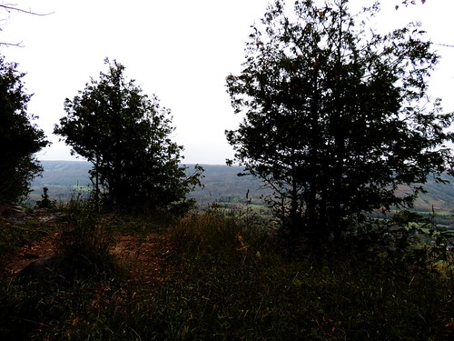 Old Baldy Conservation Area by kevinmklerks, Blue Mountains, Ontario, Canadatrails mountain forest nature view