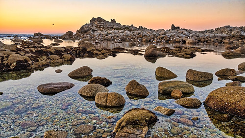 Monterey by Bob.Z, pacificgrove california unitedstates us monterey usa ca ocean pacific tree cypress