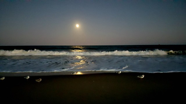 Ocean City beaches at night