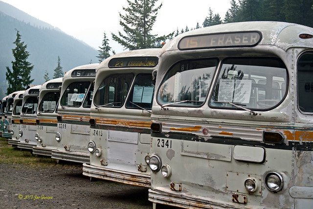 The Trolley Buses