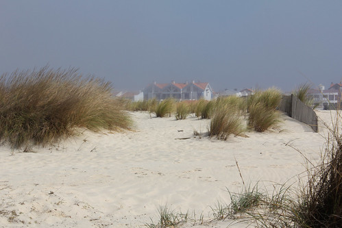 portugal aveiro landscapes paysages dunes plages beaches
