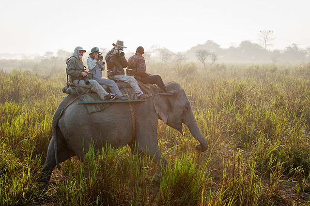 Photographing on the back of an elephant in India
