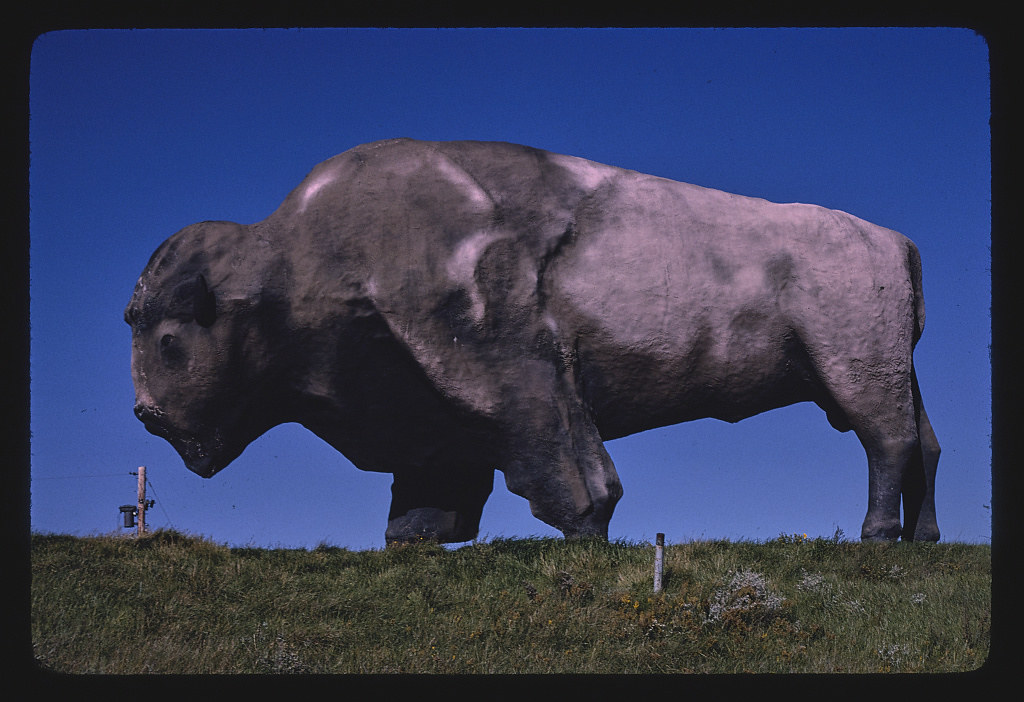 World's largest buffalo (46' long, 26' high, 60 tons), Jamestown, North Dakota (LOC)