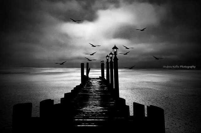 Sitting on the Dock of the Bay - BW