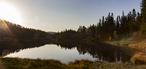 sunrise sunny sunshine nature canon 6d samyang 24mm norway bergen byfjell aut autumn colours
