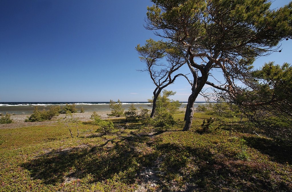 Küste ganz im Norden Gotlands
