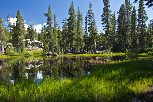california water canon pond sierra alpine sierranevada nfs 2015 eldoradonationalforest enf pleasantvalleycreek bluelakesroad tamron18270mm
