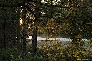 sunset road
