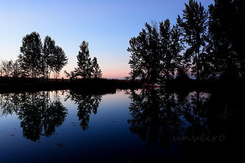 skyline mirror water sunset reflections
