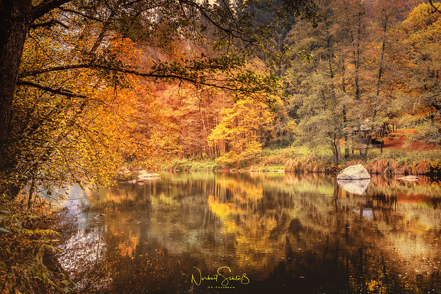 Flashed by autumn colors ... river Ilz, Bavarian Forest