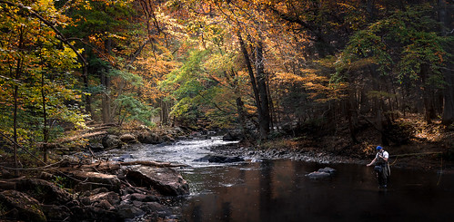 wood autumn newjersey landscape fish fall stones red trees unitedstates curve trail green america calm serene stream orange shore fishermen leaves fishing travel river forest hiking peaceful water rocks usa yellow happy fisherman califon us creek tree explore ngc beautiful majestic fisher rod waves path hike shadow highlight cute quiet branches rock stone ken lockwood gorge valley canopy canon 60d 29mm dslr photography
