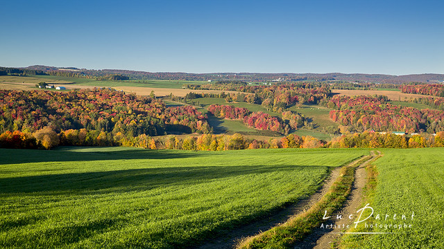 Paysage d'automne / fall landscape