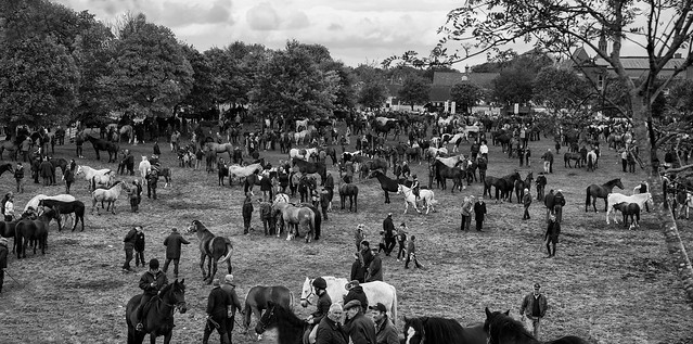 Ballinasloe Horse Fair 2017