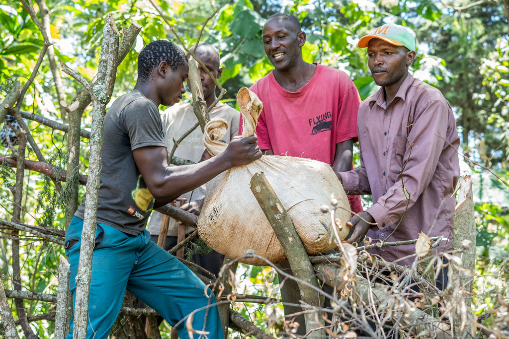 Reuben Cheruiyot (pink t-shirt) and other WRUA Members collect bags of soil from the forest to fill potting bags.