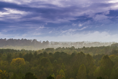 greenriver greenvalley kentucky taylorcounty autumn rain forest clouds rainclouds sky tree landscape mist