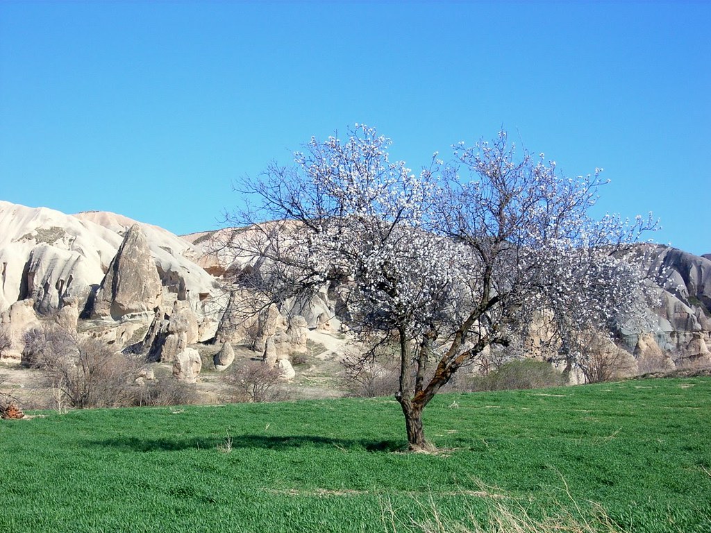 Spring in Cappadocia