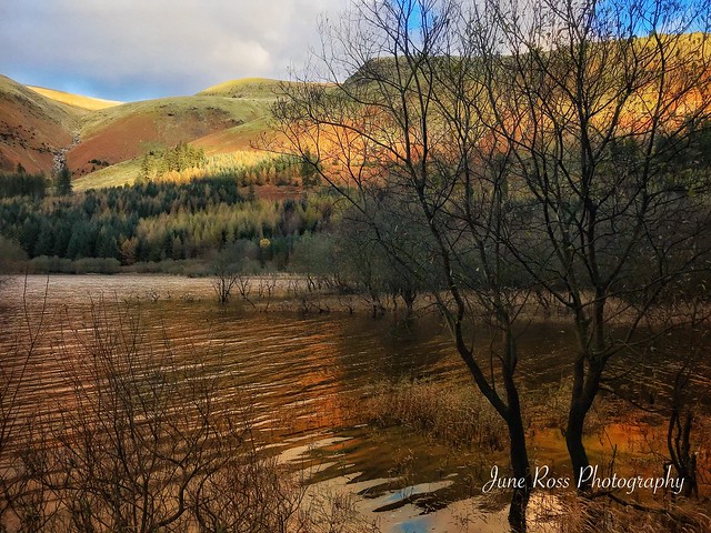 Evening at Thirlmere