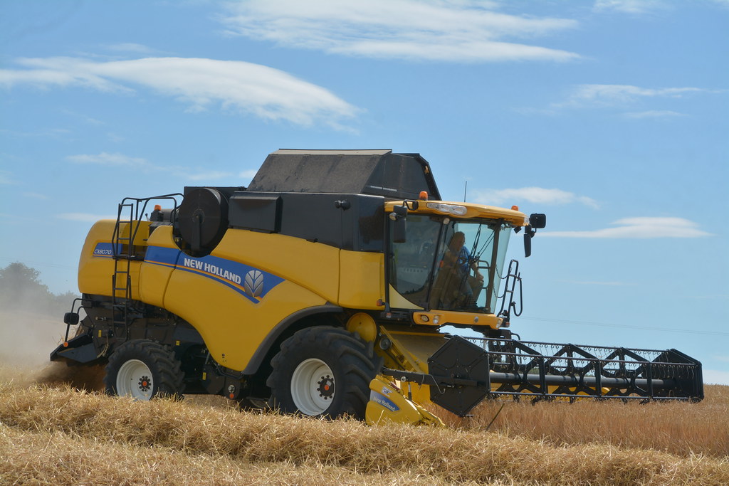 New Holland CX8070 Combine Harvester cutting Winter Barley