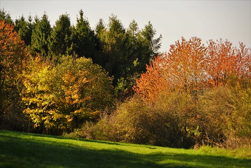 eifel eifellandschaft autumn ahrtal ahreifel germany gernany deustchland rheinlandpfalz