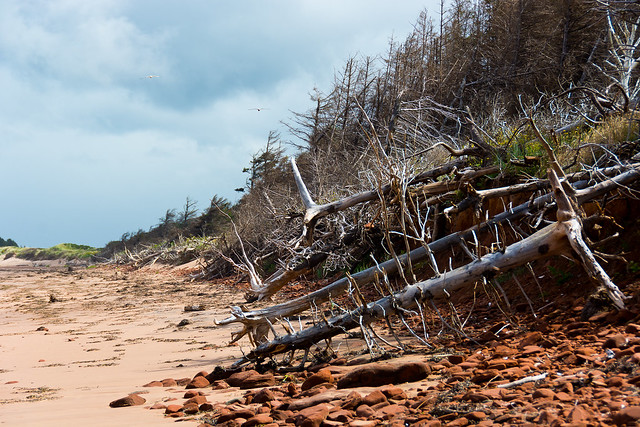 Stormy Beach, Prince Edward Island, Canada