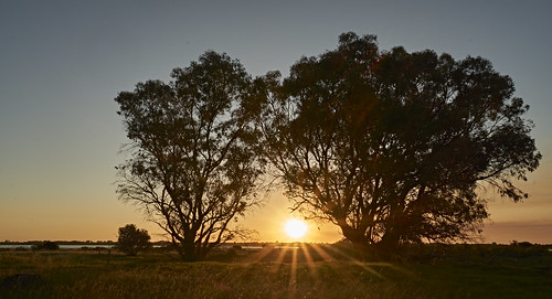 sony a6000 wa australia westernaustralia baldivis sunset