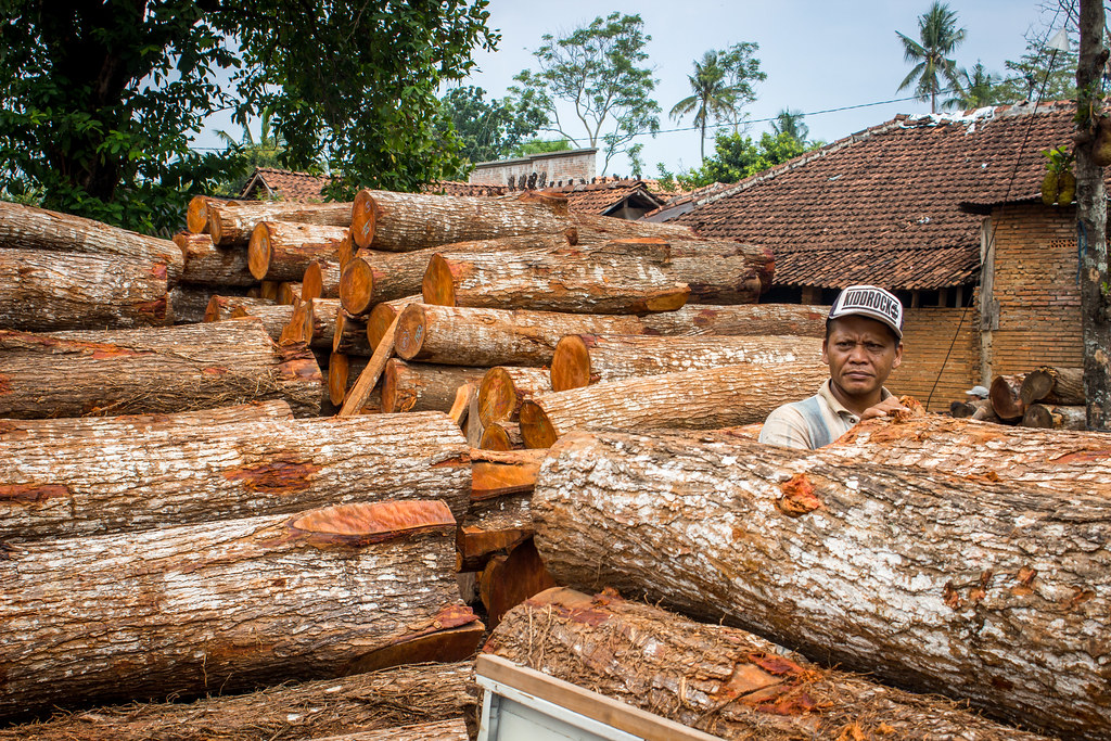 A man waits to work lifiting logs of wood in Jepara.