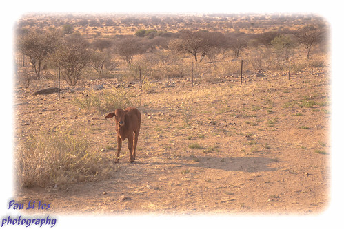 khomasregion namibie na