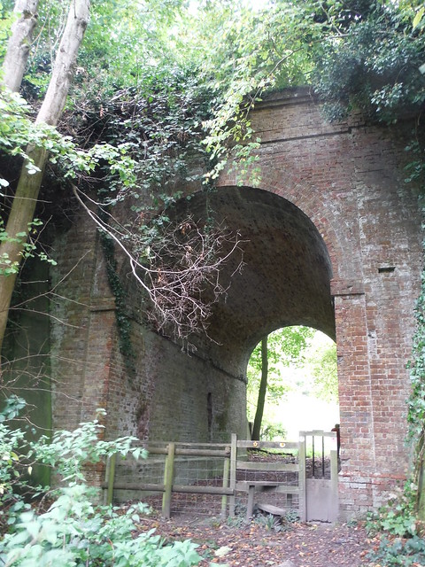 Under the Dismantled Railway Line, near Coombe Farm SWC Walk 93 - North Downs Way: Sandling to Folkestone or Dover