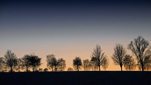 sundown sunset trees