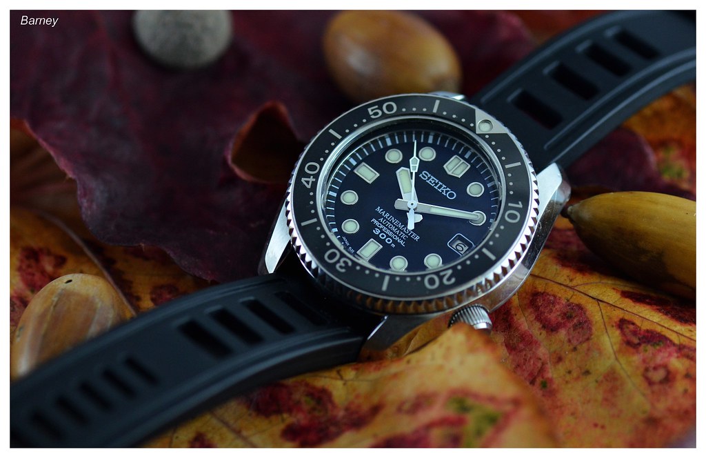 MarineMaster 300 owner's club - tome XXX - Page 14 24029047838_33dbaff8ae_b