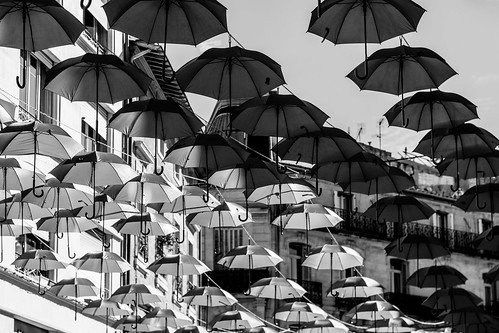 montpellier france cityscape herault occitanie monochrome city house bnw urban bw parapluie landscape blackandwhite noiretblanc light shadow