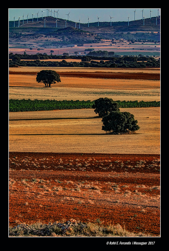 Colors d'estiu a la Manxa 17 (La Mancha summer colours) Corral-Rubio, la Mancha de Montearagón, Albacete, Spain