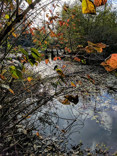 Fall. | by thnewblack