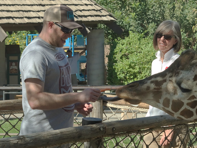 Sean feeding the giraffe