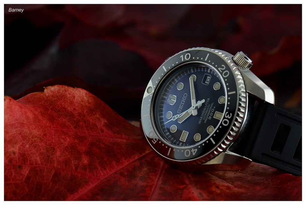 HOMMAGE à ZEN : postez ici votre plus beau bouquet de SEIKO ! 37138378403_0fa77d51cd_b