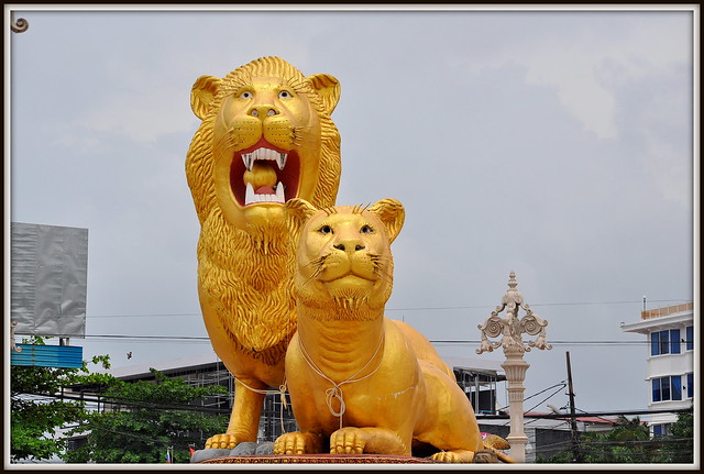 Golden Lions a Sihanouk ville au Cambodge
