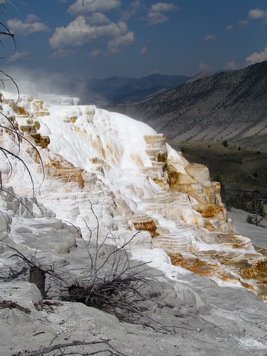 mammoth springs | by Ramapithecus