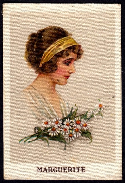 British Trade Card - Floral Beauties, Marguerite