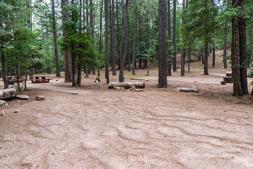 Camping in Arizona - Coconino NF Photography