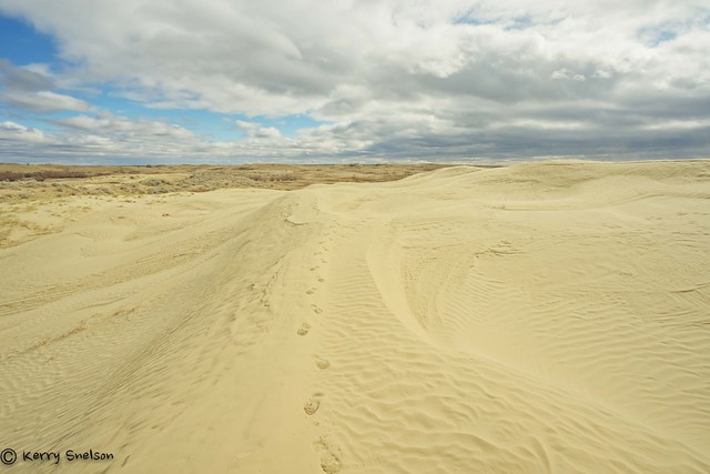 Sand Dunes in the Prairie