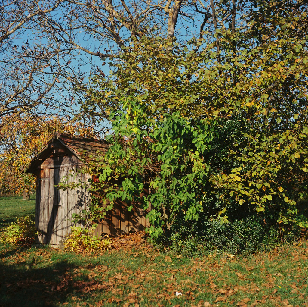Heimelige Herbst-Hütte ...